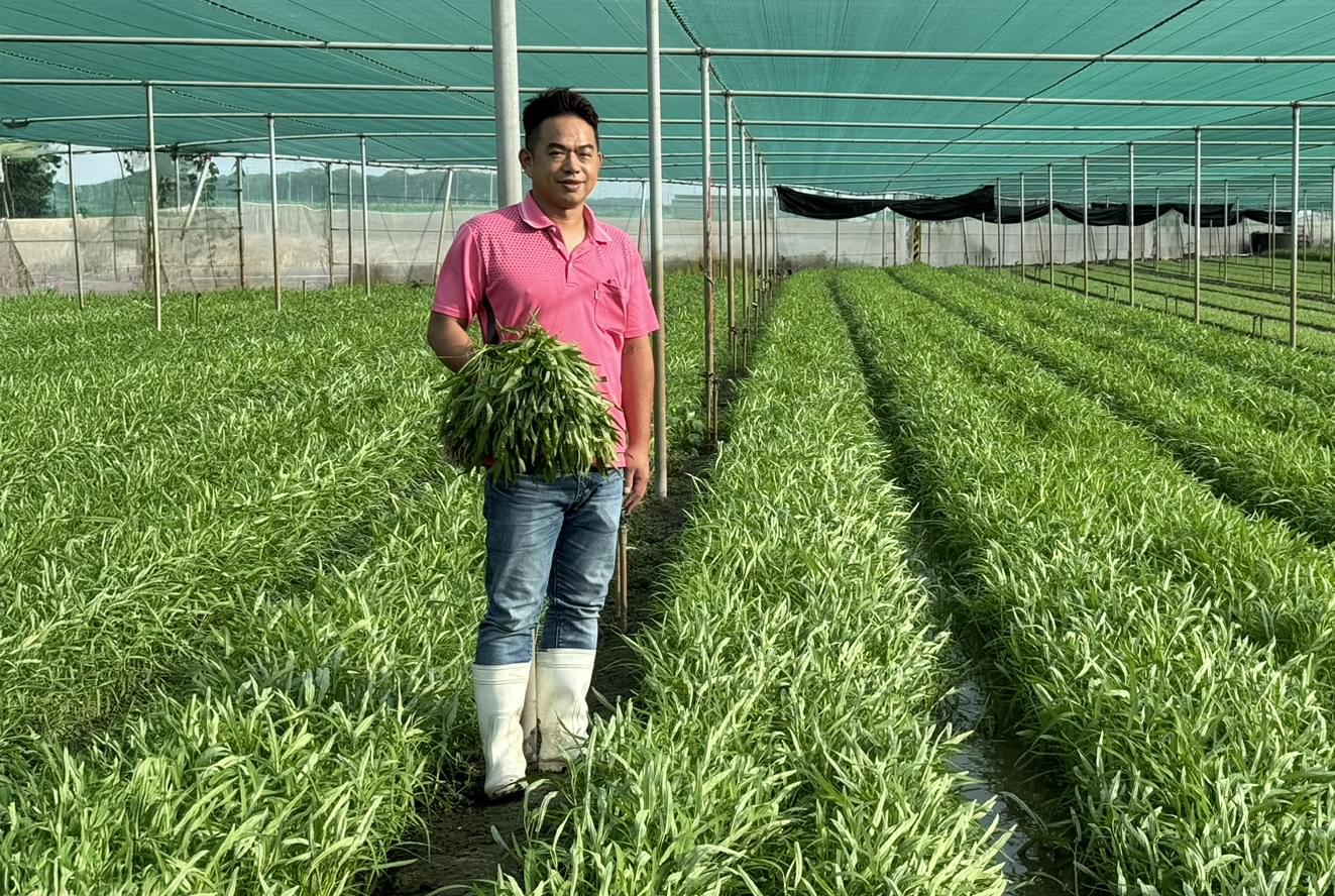 十八甲果菜生產合作社